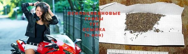 мяу мяу мука Гусиноозёрск