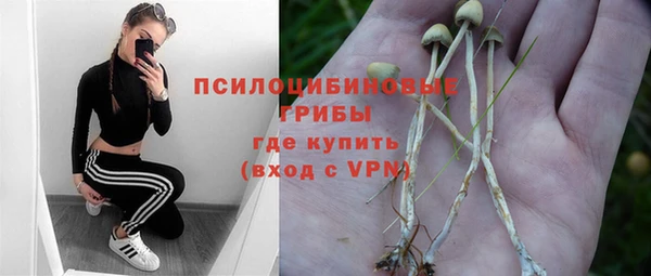 каннабис Гусев