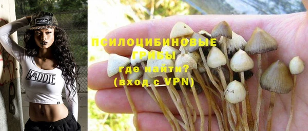 мяу мяу мука Гусиноозёрск