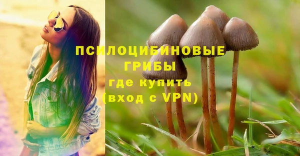 молекула духа Гусь-Хрустальный